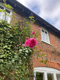 Meadow Cottage a pretty Secluded 3 bedroom house - 7