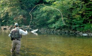 Very Secluded Breathtaking Riverfront, Game Room - Sevierville - 5