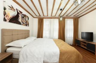 Historical Wood Dublex Apt at Taksim&Galata - Istanbul - 4