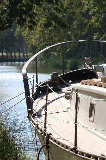 Les Pins - Laure-Minervois - 6