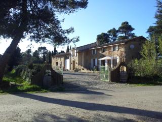 Les Pins - Laure-Minervois - 2