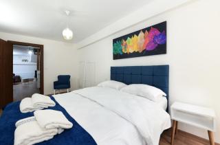 Historical Wood Dublex Apt at Taksim&Galata - Istanbul - 1
