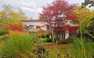 Villa Ralf - - 0