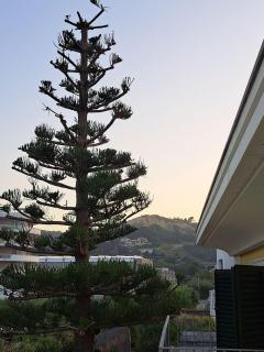Casa Kirana Seaside Home - Grottammare - 4