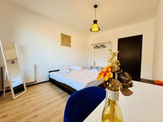 Joy City Stay Tampa Apartments 6 - Braşov - 8
