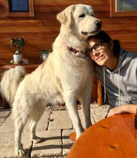 Lodge en Provence - 3