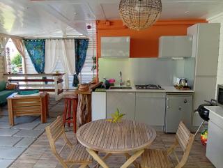 Les Bromélias chez Djo et Rosy - 1