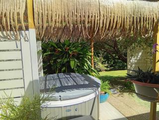 Les Bromélias chez Djo et Rosy - 2