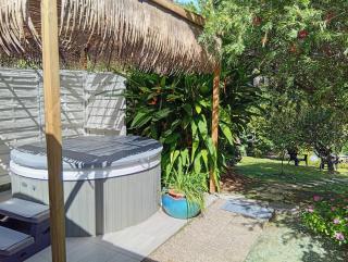 Les Bromélias chez Djo et Rosy - 3