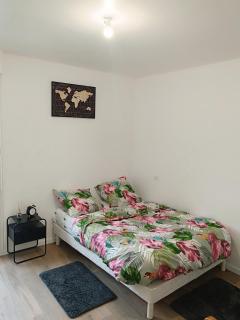 Chic appartement F2 - Conflans-Sainte-Honorine - 5
