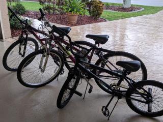 Family-friendly electric-heated pool home with bikes! - Villa Rita's Dream - Cape Coral - 4