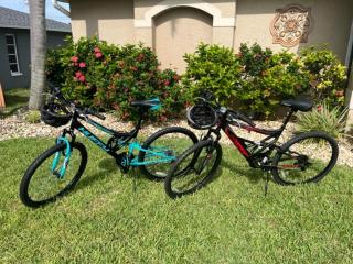 Fully-fenced electric-heated pool home with Western exposure - Villa Royal Ann - Cape Coral - 3
