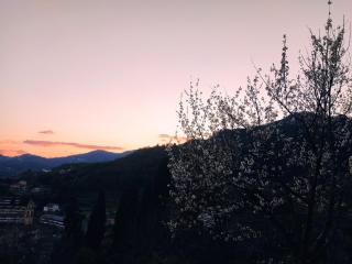 Rustico tra gli Ulivi - Rapallo - 1