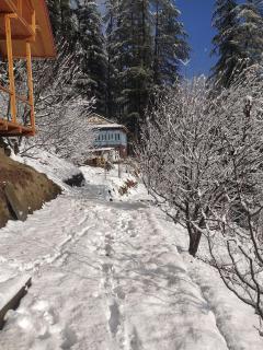 The Latoda forest edge duplex cottage in jibhi - 5