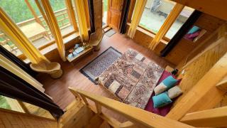 The Latoda forest edge duplex cottage in jibhi - 3