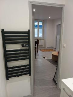 Grand Studio chambre séparée - Arpajon-sur-Cère - 1
