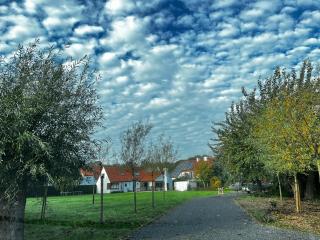 Nivekerke 8 Nieuwmunster De Haan, 3-bedroom holiday house for 4 to 6 people, between Wenduine, 1 km, and De Haan, 2 km, 500 meters from the beach,15 min from Bruges, Ostend and Knokke, nice big fenced garden - 4