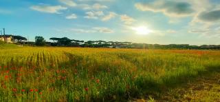 Sea flat 10 min beach front 30 min Pisa Tower and Airport - Lido di Camaiore - 9