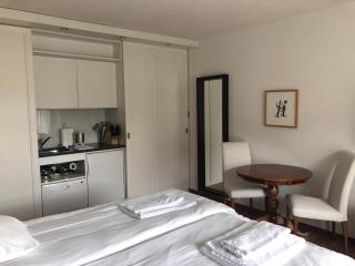 Charming Studio in the old town - UZ3 - Zurigo - 5