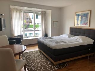 Charming Studio in the old town - UZ3 - Zurigo - 4