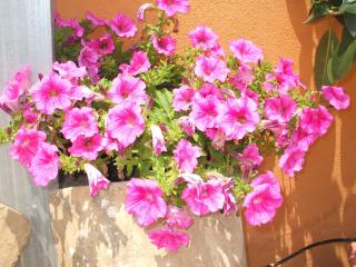 B&B Villa Giovanna - Giardini Naxos - 4