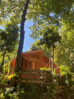 Casa en bosque - 0