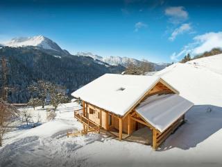 Chalet la Croix Meridionale - OVO Network - Manigod - 2