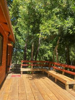 Casa en bosque - 2
