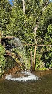 Cabaña en bosque - 2