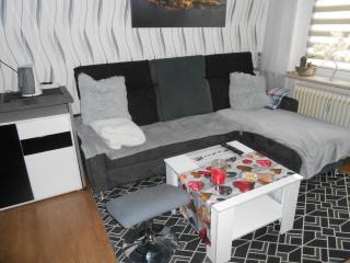 Ferien und Monteurwohnung - 9