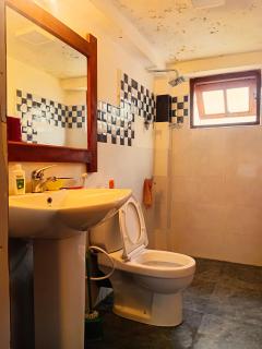 Big Mountain Havelock Cottage - 3