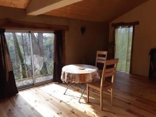 Loft indépendant en bord de Tarn - Rabastens - 9