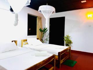 Solo's Shelter Hostel Udawalawa - Udawalawe - 0