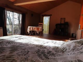 Loft indépendant en bord de Tarn - Rabastens - 8