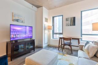 Luxury Apt with Amenities - 4