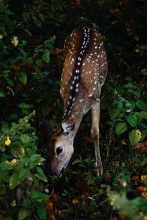 Chill House Udawalawa - 4