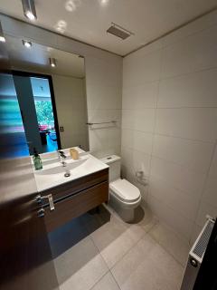 Gran departamento con vista y jardín - Valdivia - 7