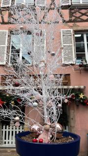 Gite BI UNS chez Silvana - Colmar - 9