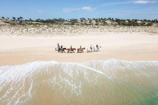 La Réserve-Comporta by Terresens - Carvalhal - 1