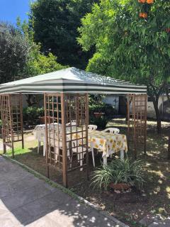 Appartamento con giardino nel cuore di Viareggio - Viareggio - 0