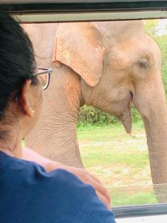 Chill House Udawalawa - 1