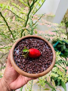 Chill House Udawalawa - 2