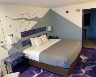 Boutique Style Quality Inn Oxford Anniston I-20 - Oxford - 6