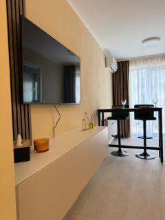 The Green Pine Studio - Hils Brauner - Bucharest - 3