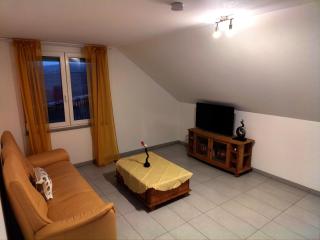 Serene work/holiday apartment - Renningen - 2