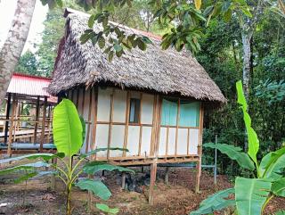 Allpayacu Adventures Lodge - All Inclusive - 3