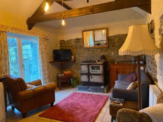 Badger Banc - Pembrokeshire - 9