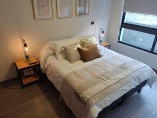 Comfortable Apartment in Santiago Close to Everything - Santiago - 1