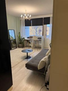 Kauniit yksiöt, 600m keskustaan, ilm parkit - Oulu - 2
