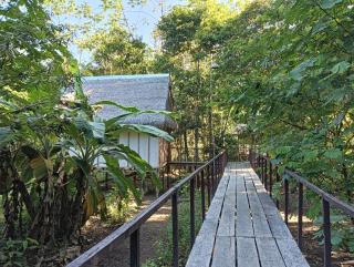 Allpayacu Adventures Lodge - All Inclusive - 1